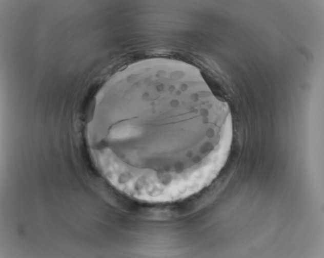 X0000113110366200910091204