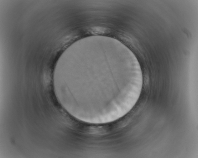 X0000113110367200910091204
