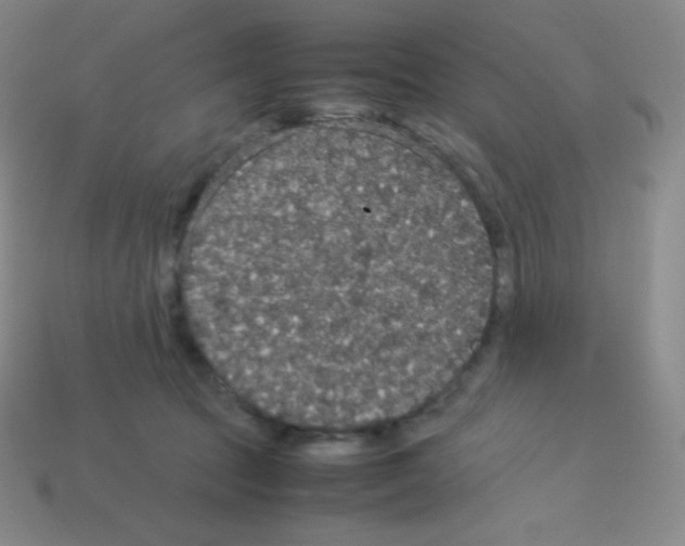 X0000113110369200910091204