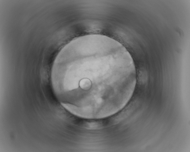X0000113110370200910091204