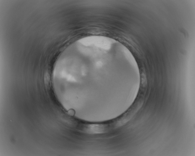 X0000113110371200910091204
