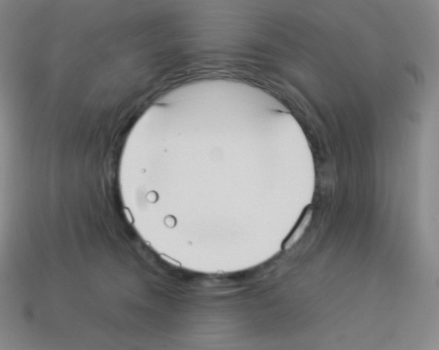 X0000113110372200910091204