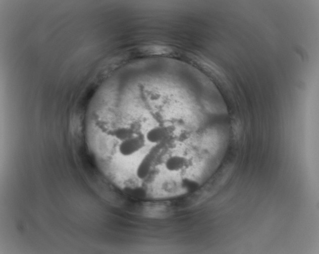 X0000113110373200910091204