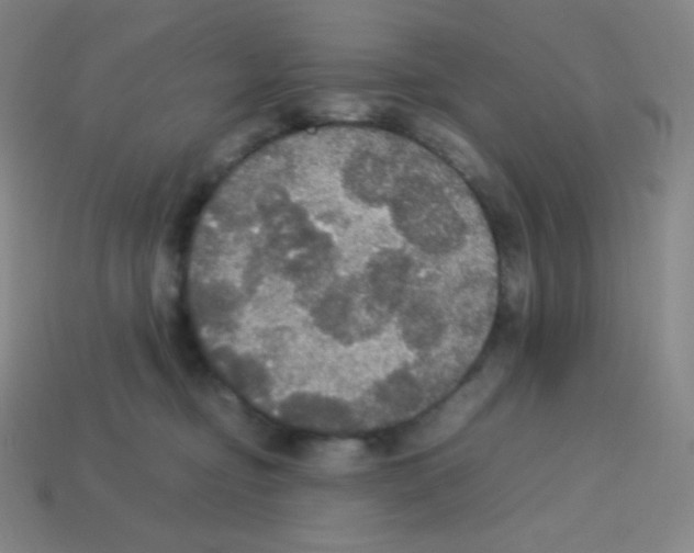 X0000113110374200910091204