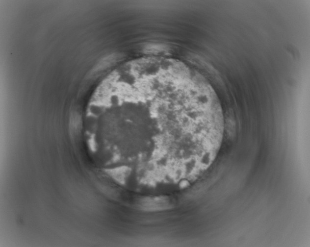 X0000113110375200910091204