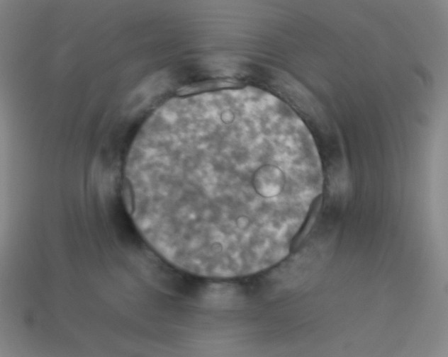 X0000113110376200910091204