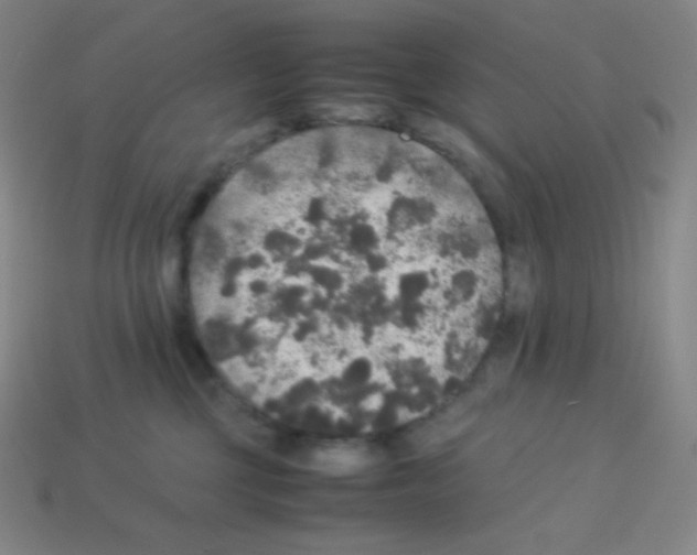 X0000113110377200910091204
