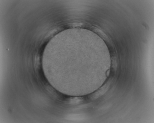 X0000113110378200910091204