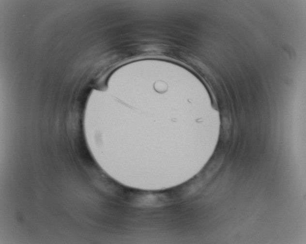 X0000113110379200910091204
