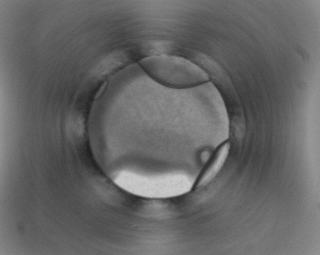 X0000113110380200910091204