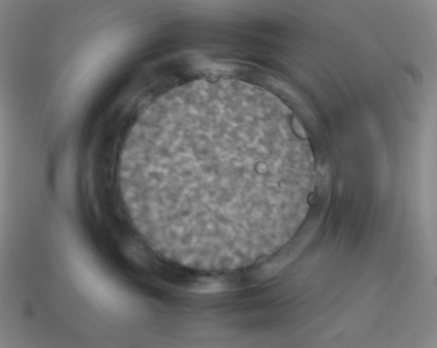 X0000113110381200910091204