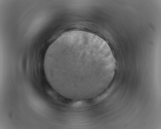 X0000113110382200910091204