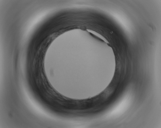 X0000113110383200910091204