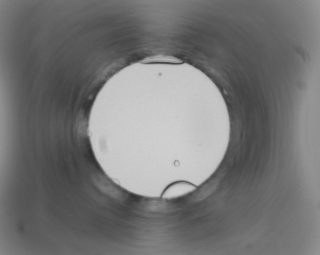 X0000113110384200910091204