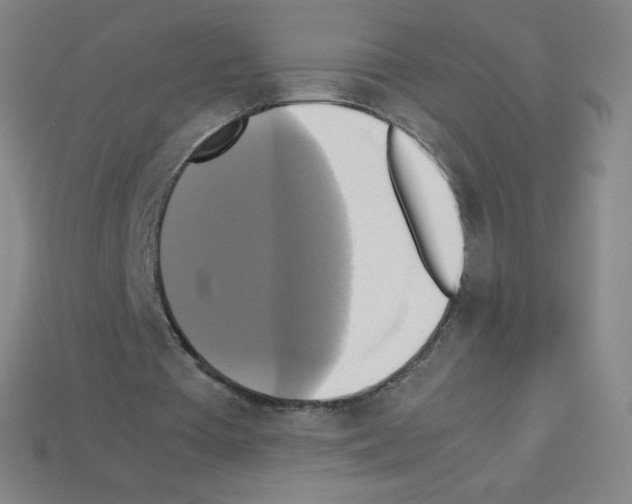 X0000113110385200910091204