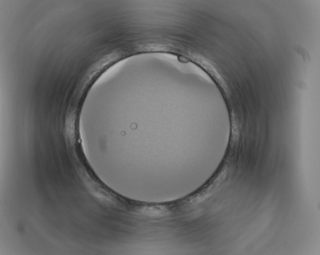X0000113110386200910091204