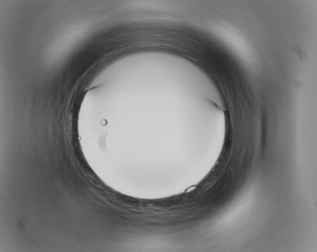 X0000113110387200910091204