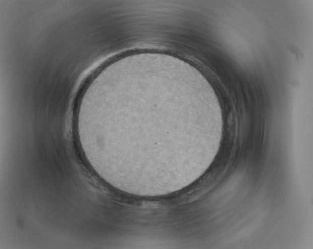 X0000113110388200910091204