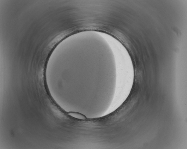 X0000113110389200910091204