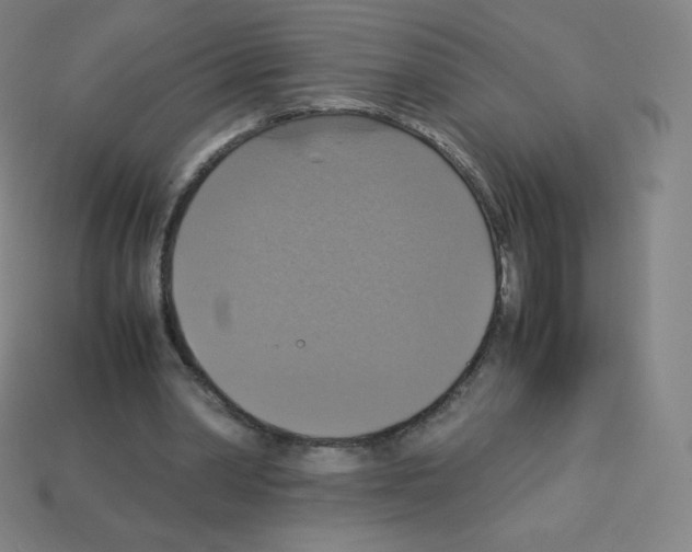 X0000113110390200910091204