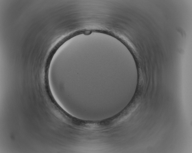 X0000113110391200910091204