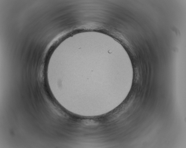 X0000113110392200910091204