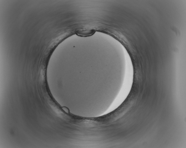 X0000113110393200910091204