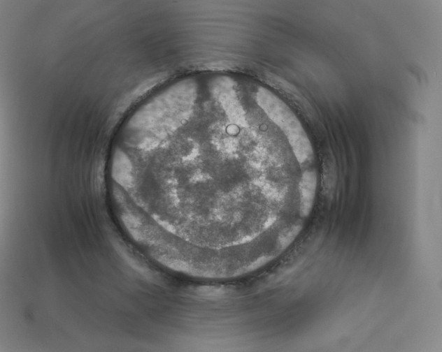 X0000113110394200910091204