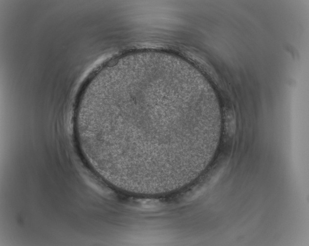 X0000113110395200910091203