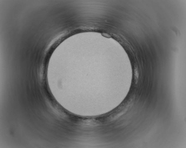 X0000113110396200910091203