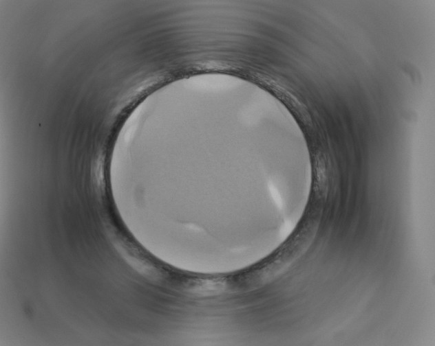 X0000113110398200910091203