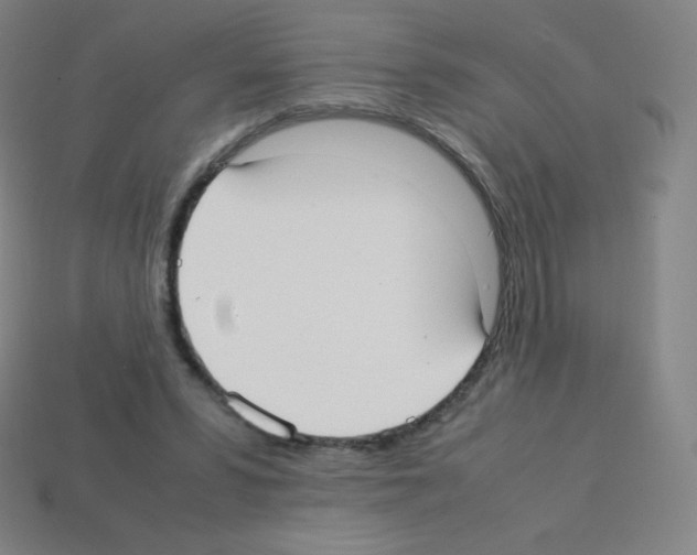 X0000113110399200910091203