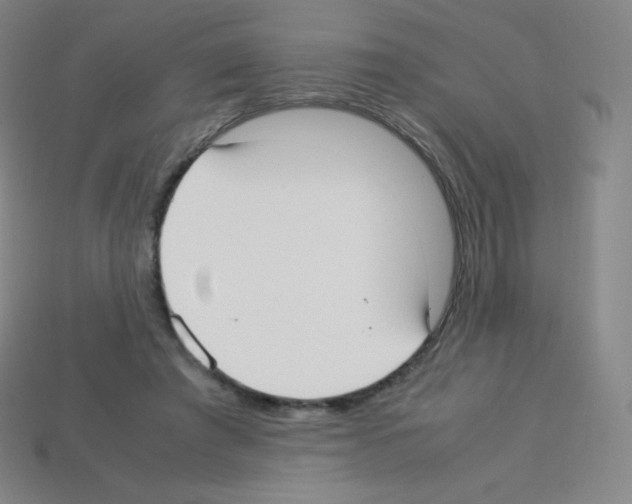 X0000113110401200910091203