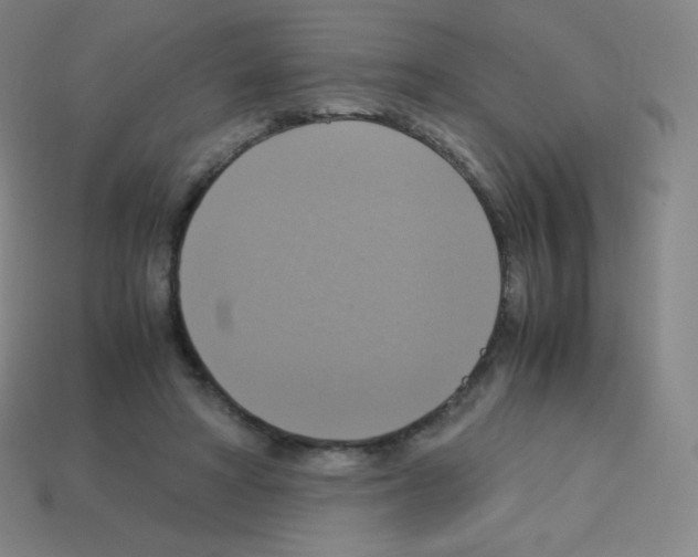 X0000113110402200910091203