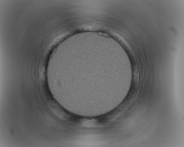 X0000113110403200910091203