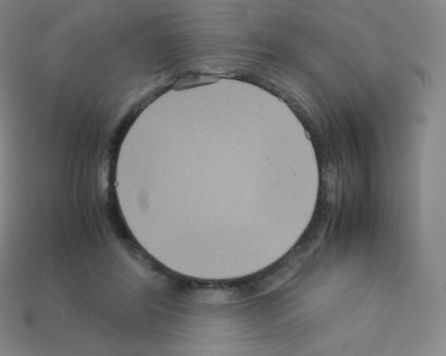 X0000113110404200910091203