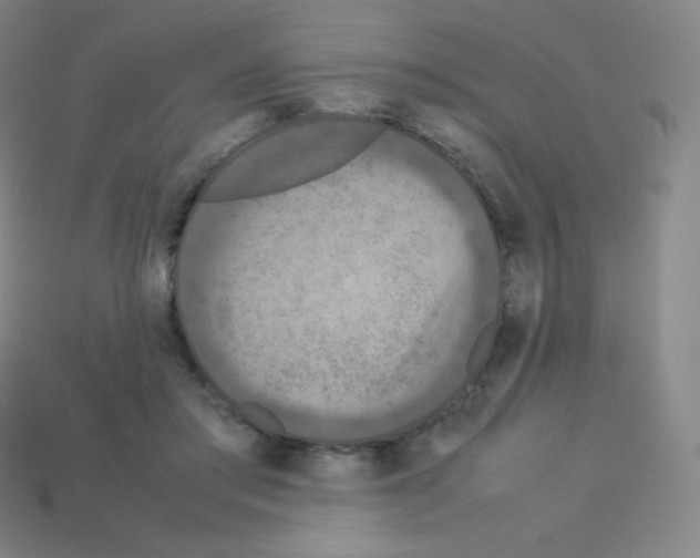 X0000113110405200910091203