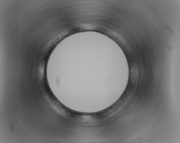 X0000113110406200910091203