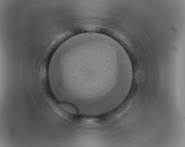 X0000113110407200910091203