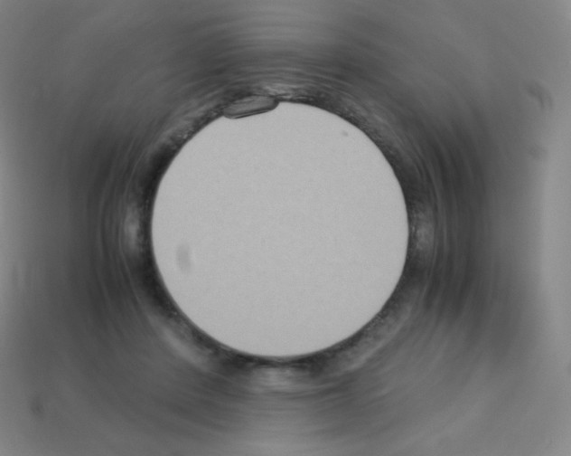 X0000113110408200910091203