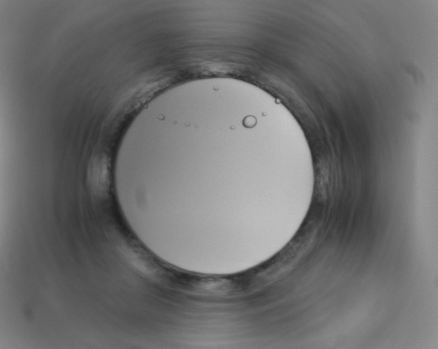 X0000113110410200910091203