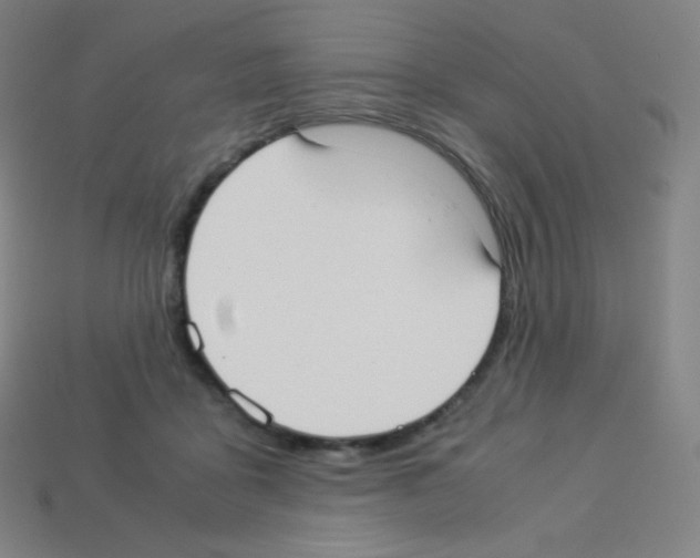 X0000113110411200910091203