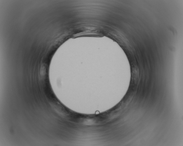 X0000113110412200910091203