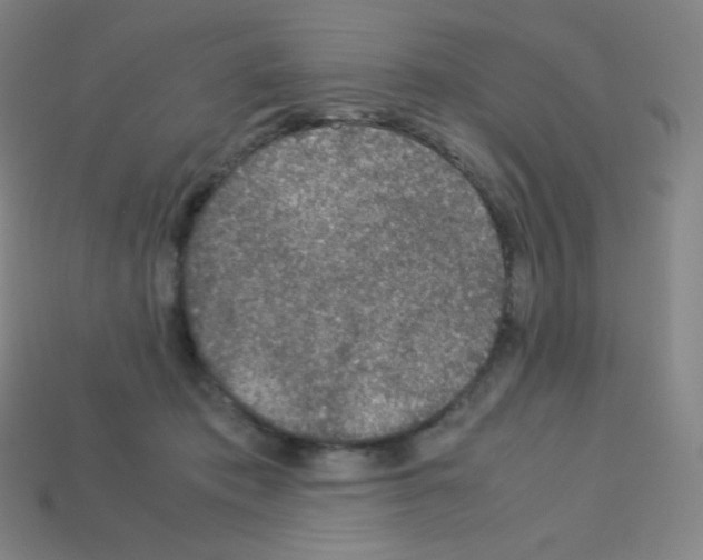 X0000113110413200910091203
