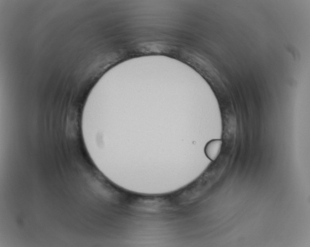 X0000113110414200910091203