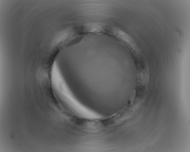 X0000113110415200910091203