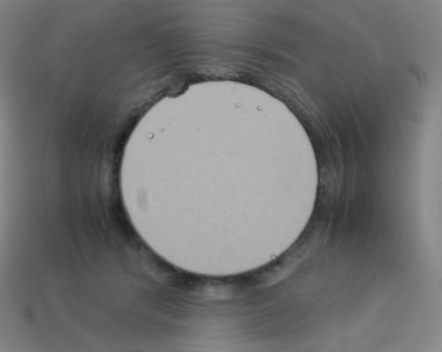 X0000113110416200910091203