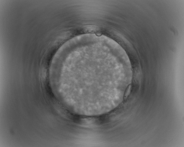 X0000113110417200910091203