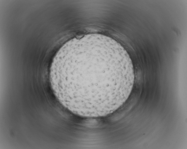 X0000113110418200910091203