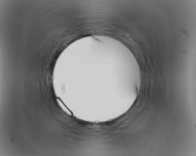 X0000113110419200910091203